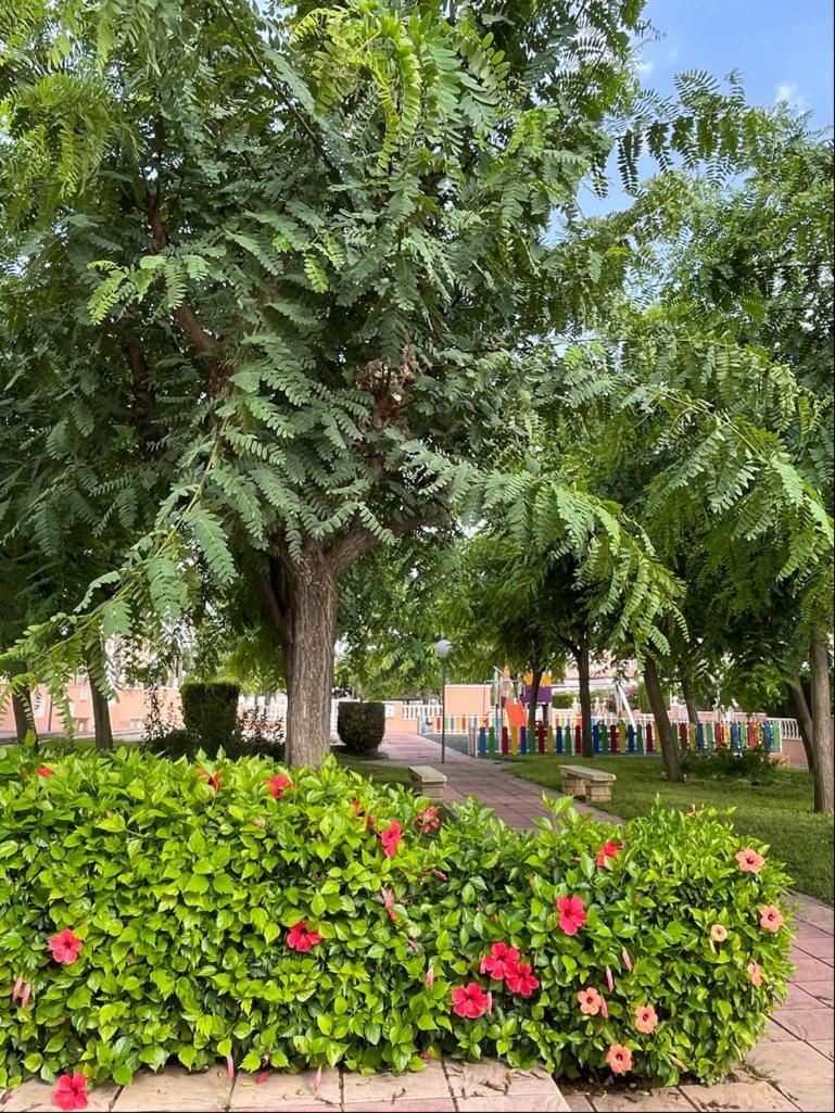 Gran Alicante Bungalow In Beach Resort Puerto Marino Екстер'єр фото